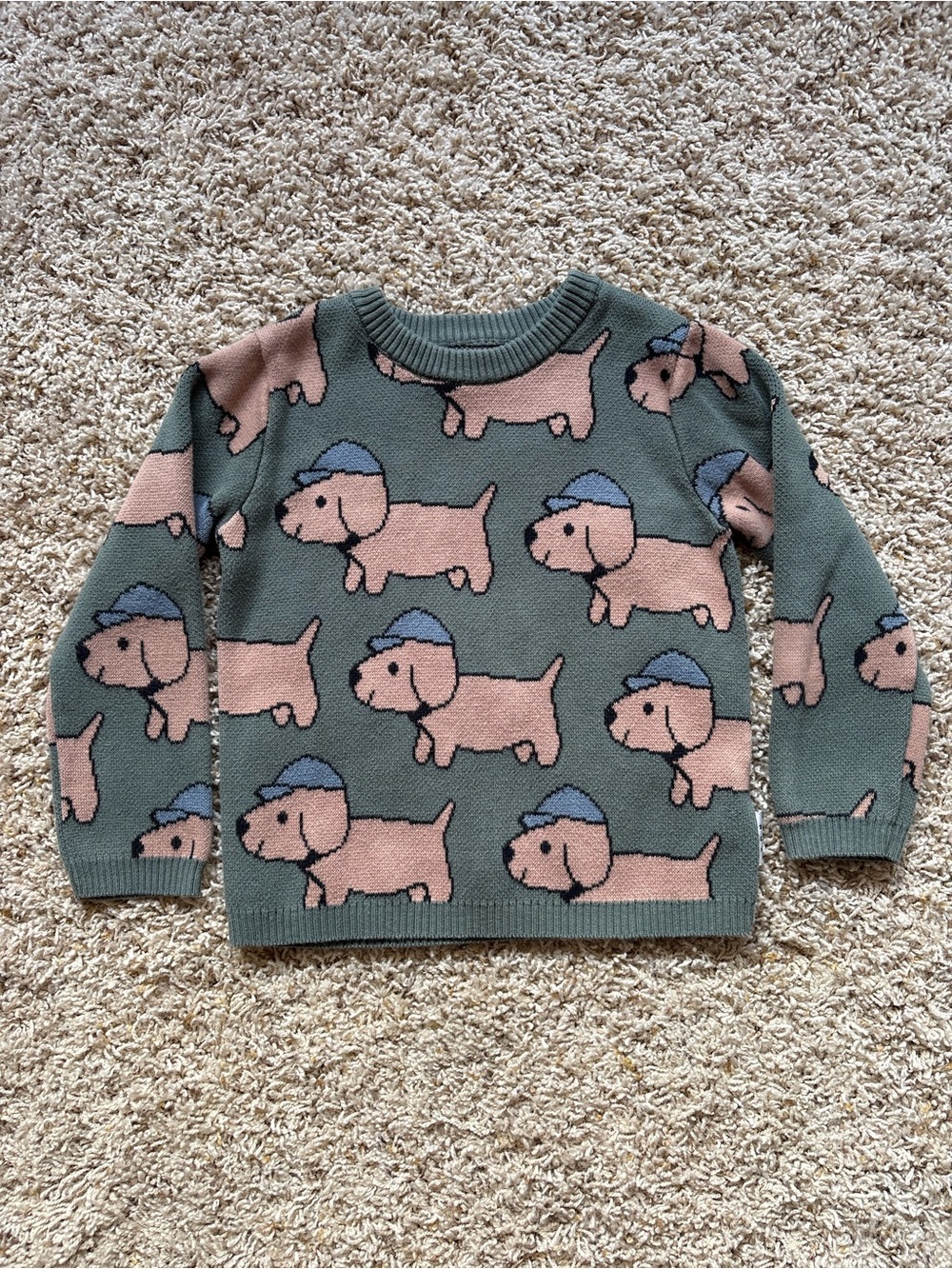 Huxbaby Dogs with Hats Sweater with Soft Green Background Sz 4